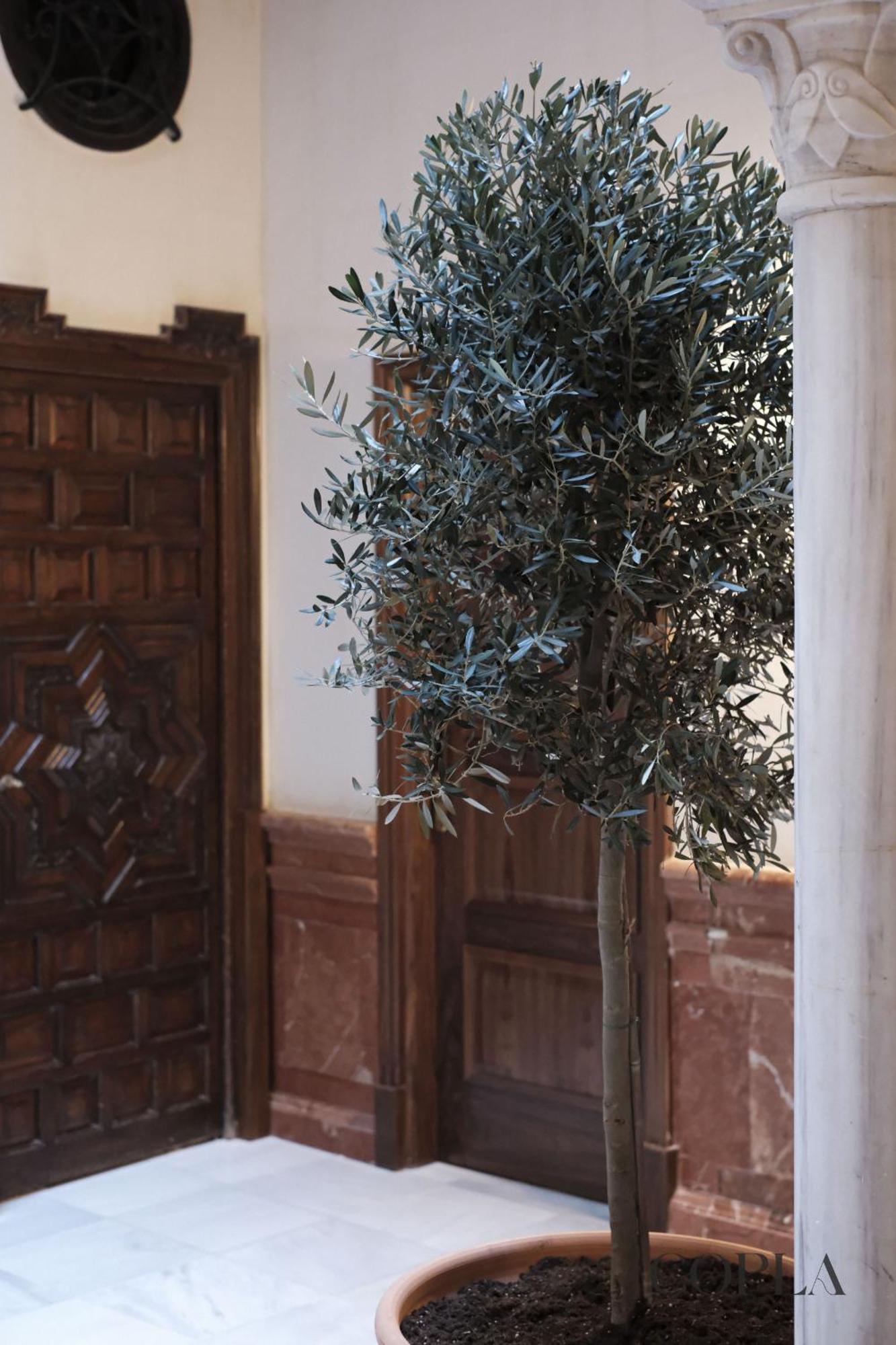 Elegant Loft For 4pax In The Center Of Siviglia